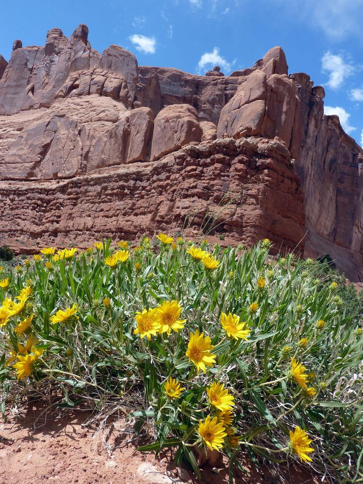 Arches NP Park Avenue (15).JPG